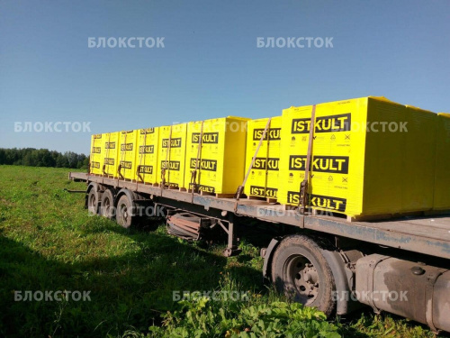 Пеноблоки Istkult D500 625х250х250 стеновые